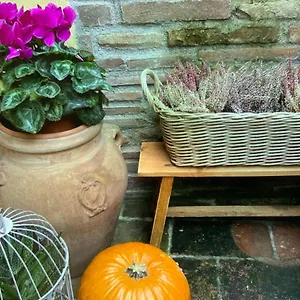 Hébergement de vacances Casa Gaia, Vicopisano